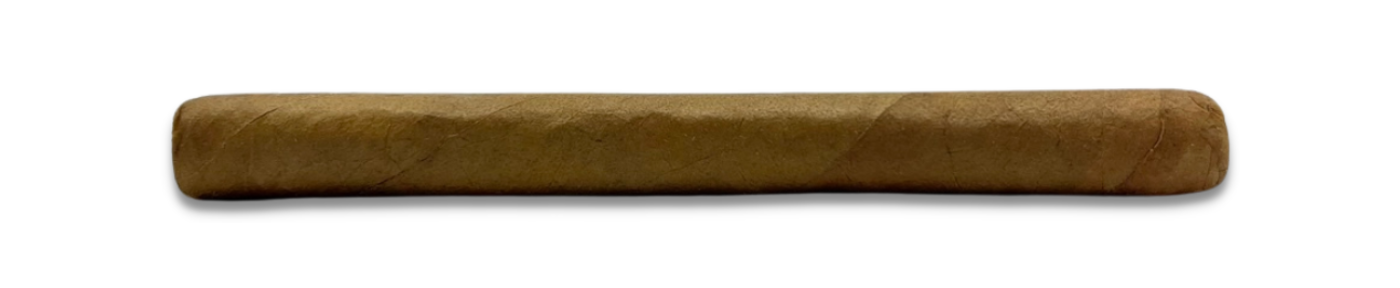 5POINTS-CIGARILLO- Hand-Rolled-Herbal-Cigar-Honey-rose-USA