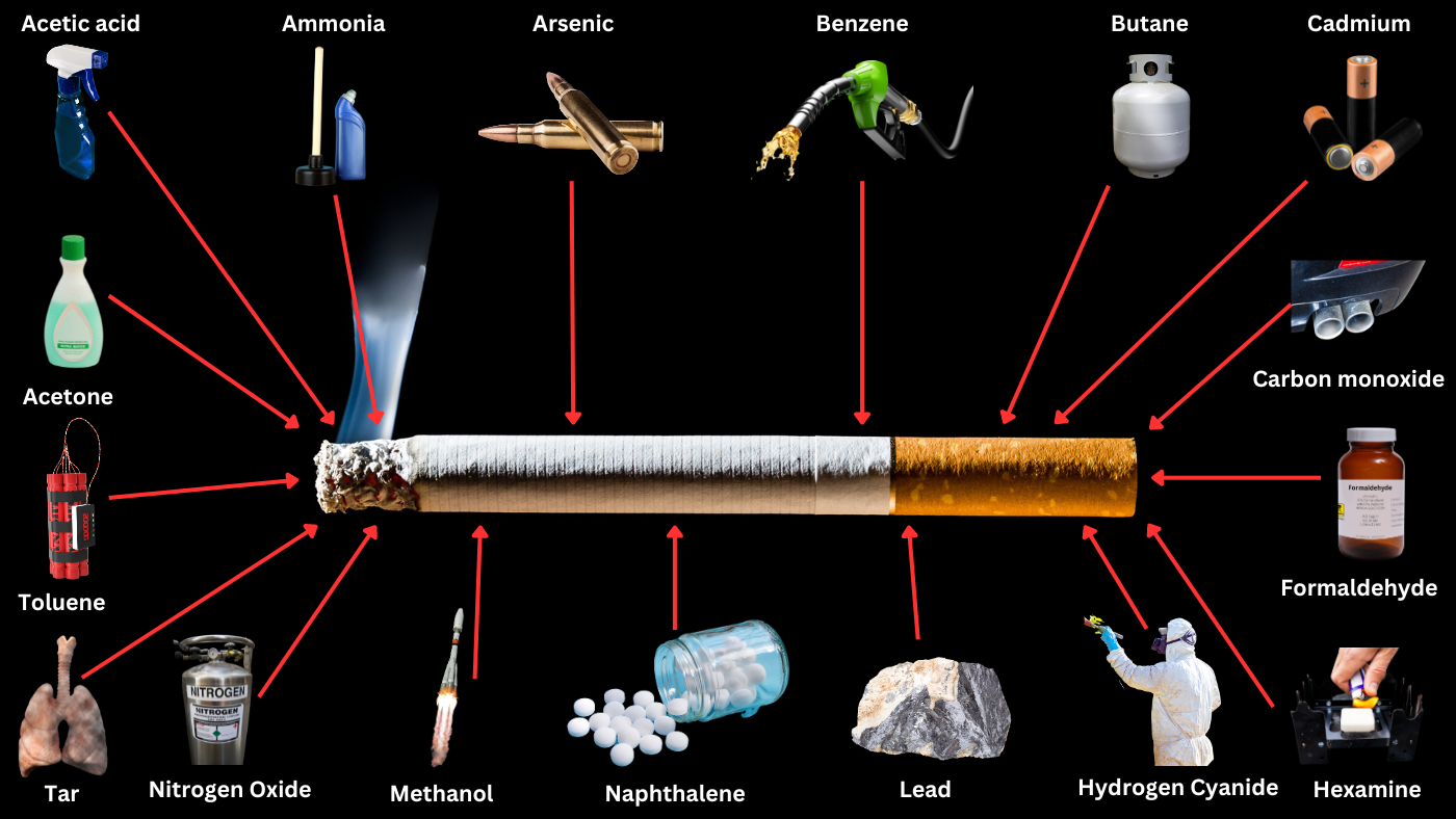 Tradional-Cigarette-Toxins-Chemicals-and-dangers-PIcture-Made-By-Honeyrose-USA